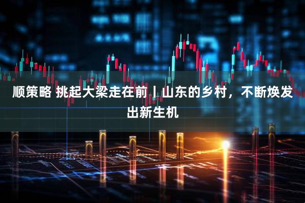 顺策略 挑起大梁走在前丨山东的乡村，不断焕发出新生机