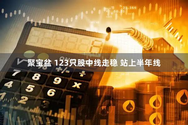 聚宝盆 123只股中线走稳 站上半年线