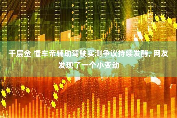 千层金 懂车帝辅助驾驶实测争议持续发酵, 网友发现了一个小变动