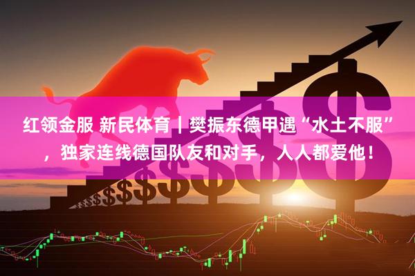 红领金服 新民体育｜樊振东德甲遇“水土不服”，独家连线德国队友和对手，人人都爱他！
