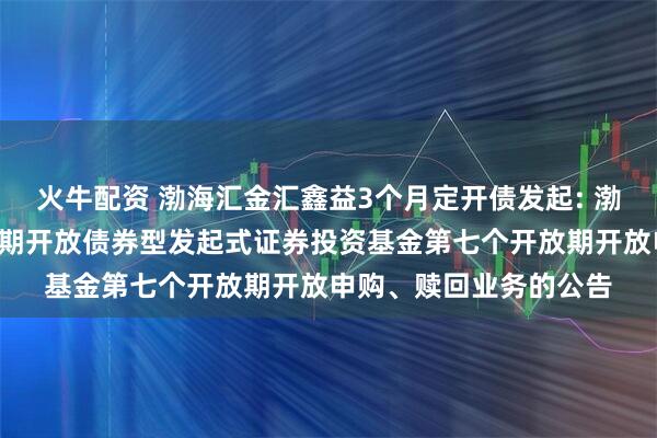 火牛配资 渤海汇金汇鑫益3个月定开债发起: 渤海汇金汇鑫益3个月定期开放债券型发起式证券投资基金第七个开放期开放申购、赎回业务的公告