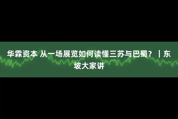 华霖资本 从一场展览如何读懂三苏与巴蜀？｜东坡大家讲
