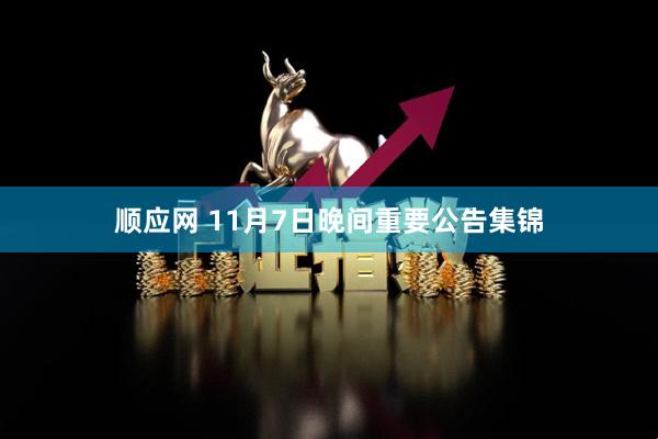 顺应网 11月7日晚间重要公告集锦