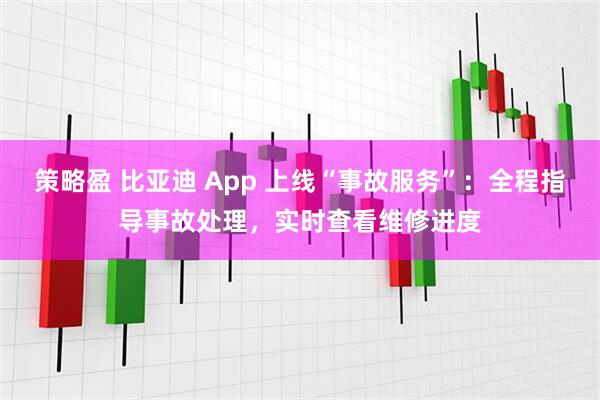 策略盈 比亚迪 App 上线“事故服务”：全程指导事故处理，实时查看维修进度